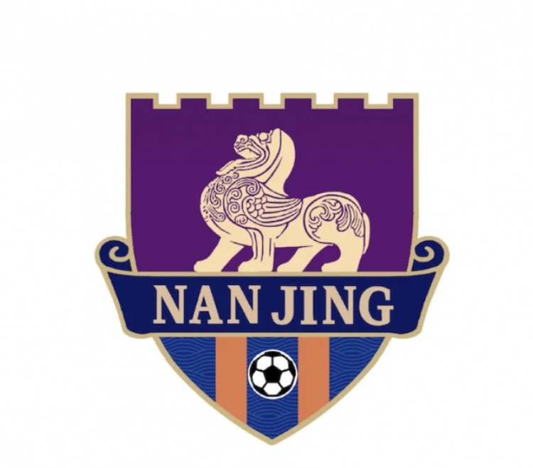 南京队教练组调整，前国脚魏新到队
